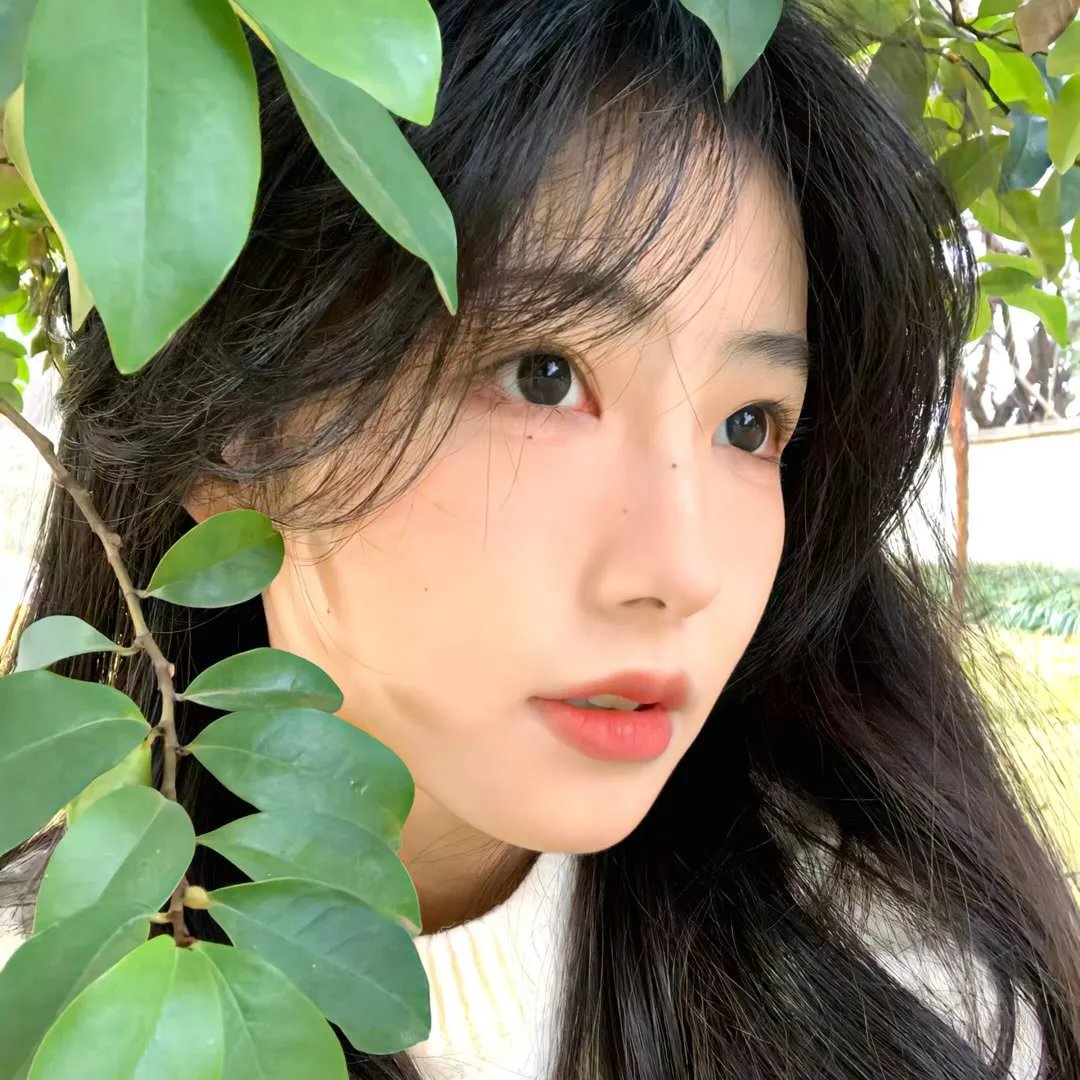巡逻惊很大